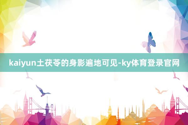 kaiyun土茯苓的身影遍地可见-ky体育登录官网